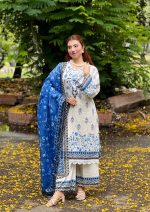 Blue Pakistani inspired 3pcs