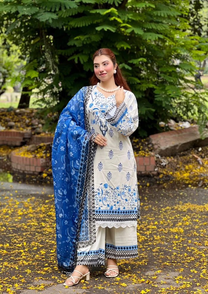 Blue Pakistani inspired 3pcs - Image 1