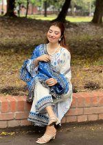 Blue Pakistani inspired 3pcs - Image 10
