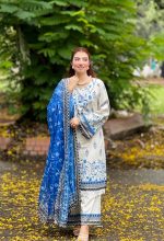 Blue Pakistani inspired 3pcs - Image 4