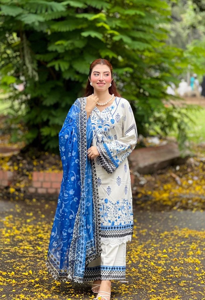 Blue Pakistani inspired 3pcs - Image 4