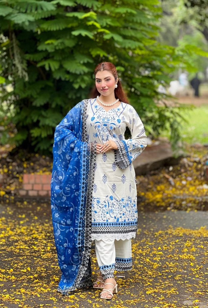 Blue Pakistani inspired 3pcs - Image 6